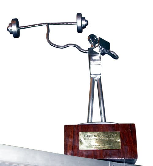 [Arun Verma](https://www.linkedin.com/in/arunverma/) known then for creating art out of scrap, specially created this 'Scrapture' Trophy awarded at the Indibloggies 2006 edition to Arnab Ray in the 'Best Indiblog Category'.